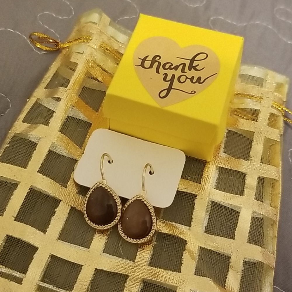 Brown and Gold Earrings